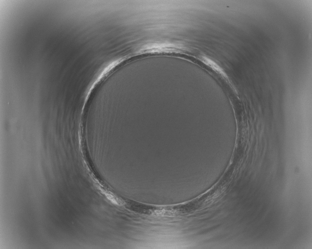 X0000054351277200508190119.png