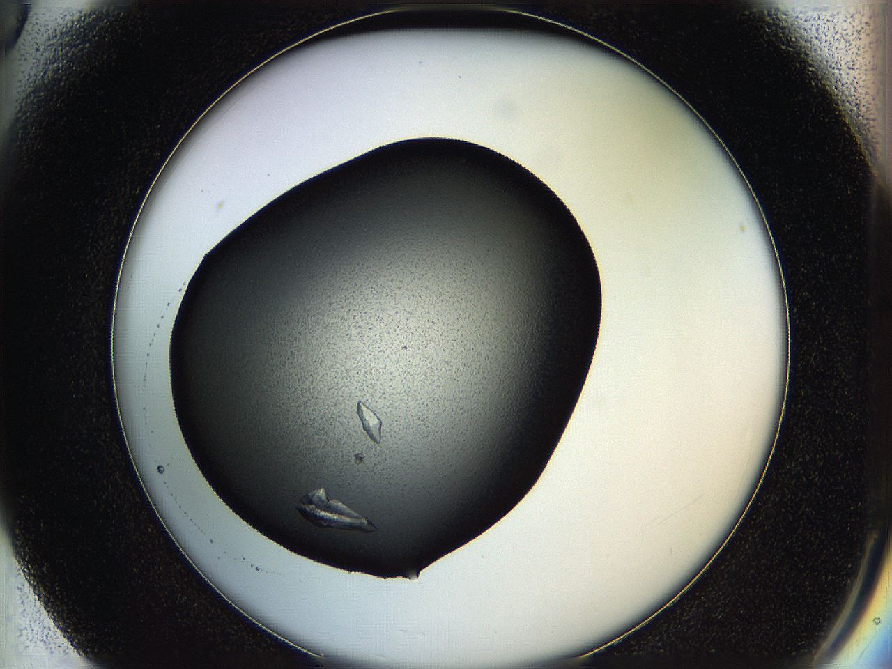 05hf_F6_ImagerDefaults_8.jpg