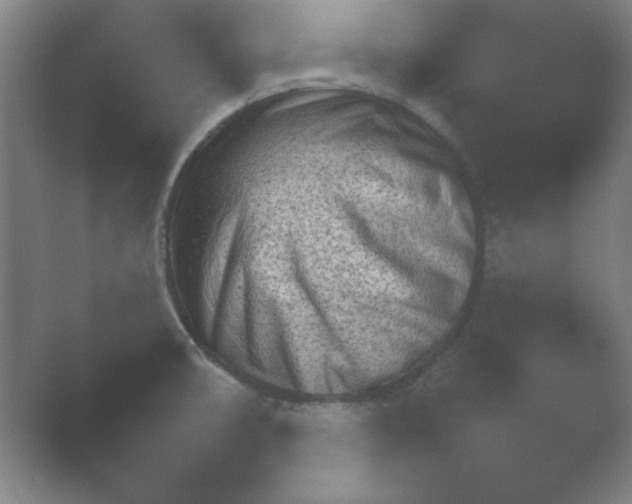 X0000054971474200509051451.png