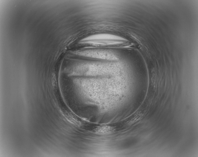 X0000054300459200508042314.png