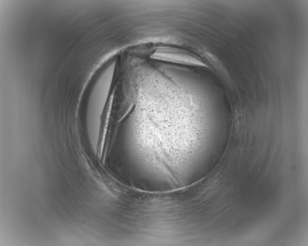 X0000054300628200508042311.png