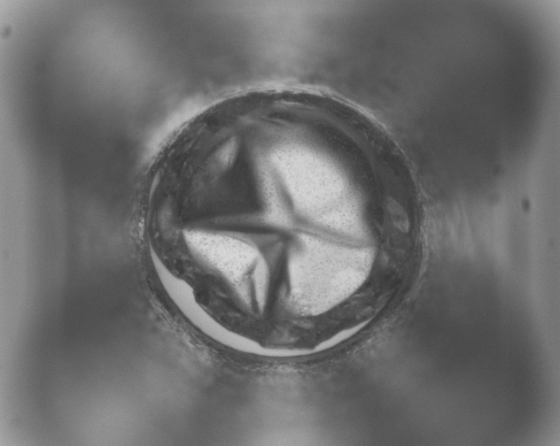 X0000052121359200507262041.png