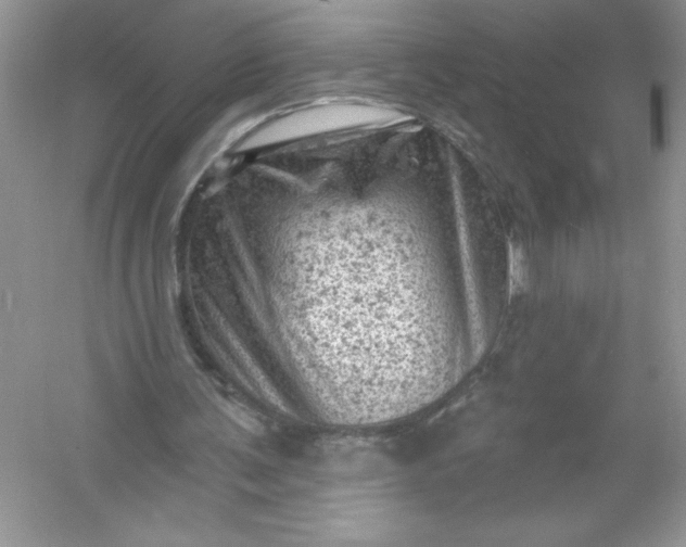 X0000054300291200508042317.png