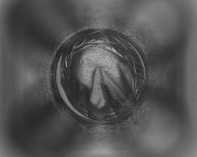 X0000045460584200502081421.png