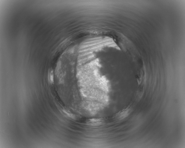 X0000054350095200508190139.png