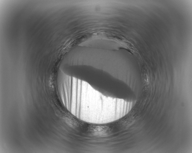 X0000054350663200508190129.png