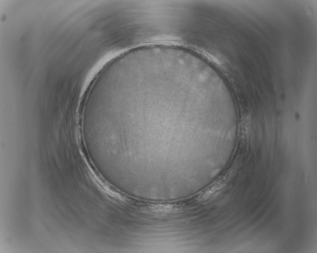 X0000054171470200508101747.png