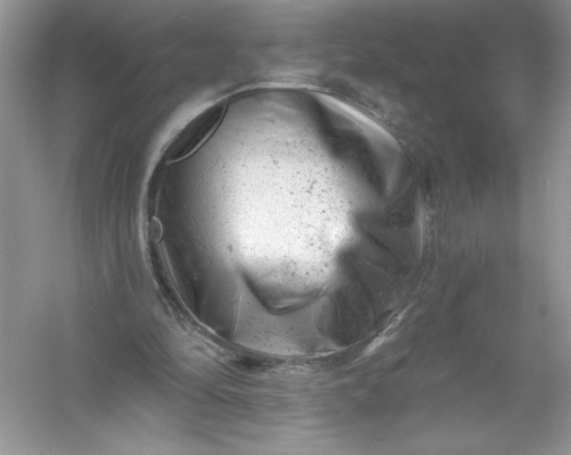 X0000054300294200508042317.png