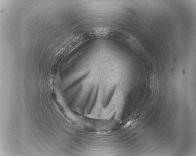 X0000055070697200508232329.png