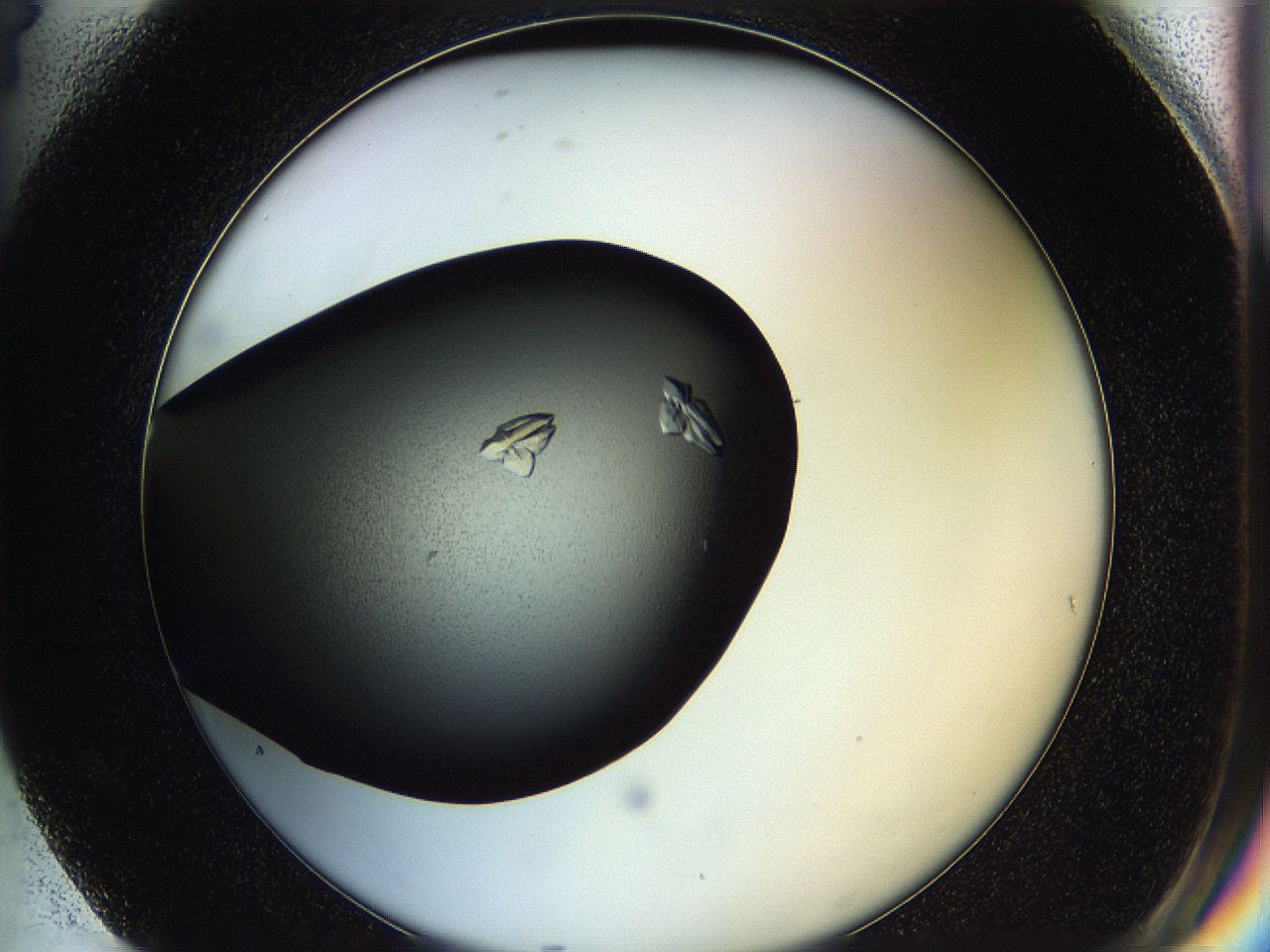05hf_G4_ImagerDefaults_7.jpg