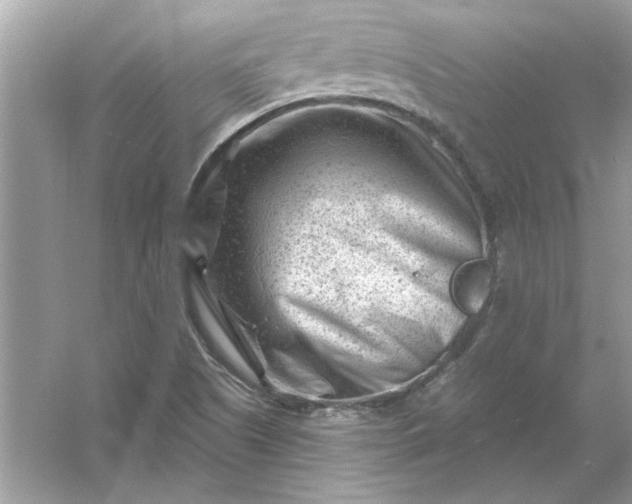 X0000054301505200508042256.png