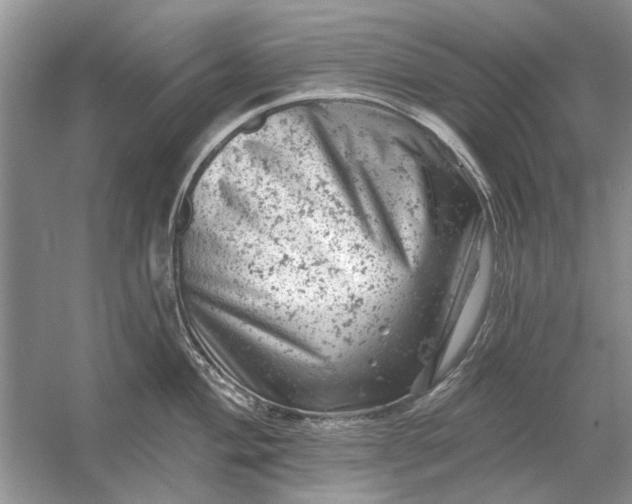 X0000054301004200508042305.png
