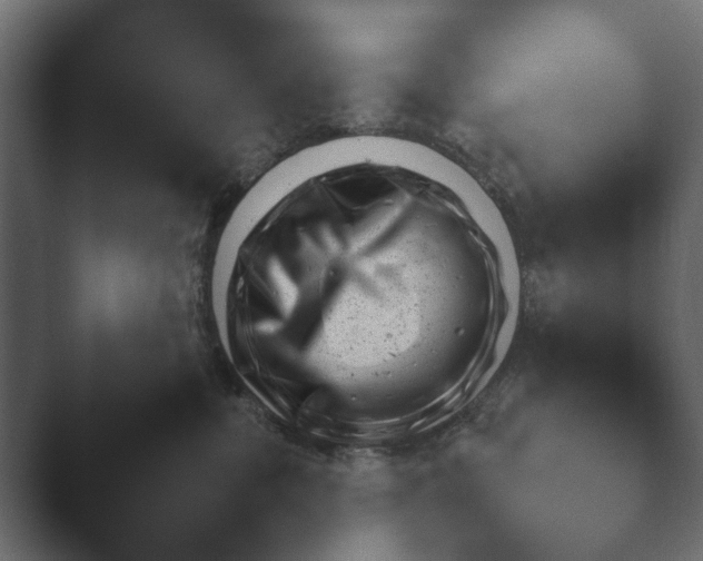 X0000045460380200502081425.png