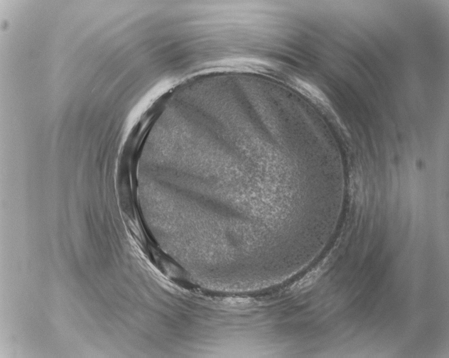 X0000055071180200508232321.png