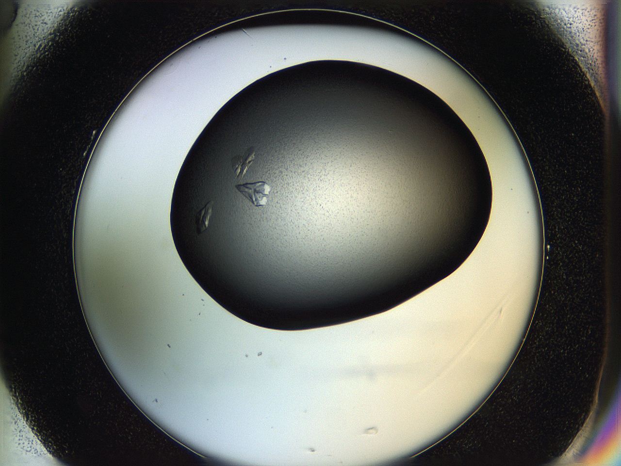 05hf_G5_ImagerDefaults_7.jpg