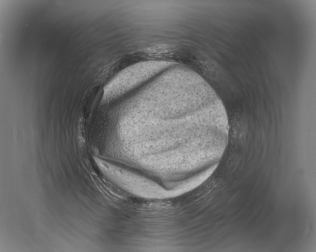 X0000055211346200508301311.png