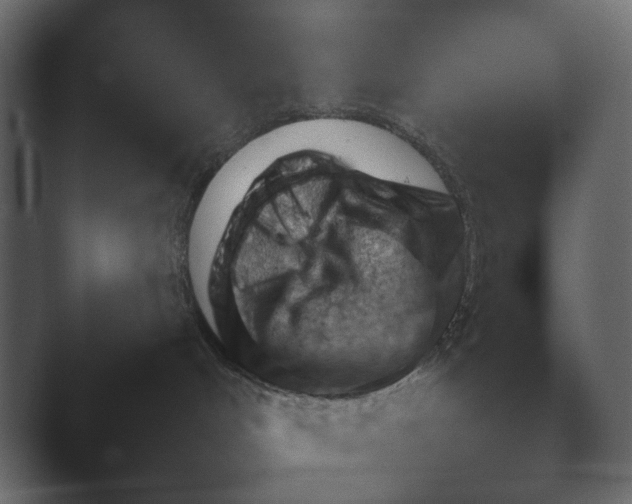 X0000045460048200502081430.png