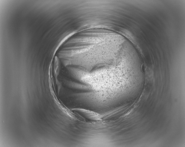 X0000054301198200508042302.png