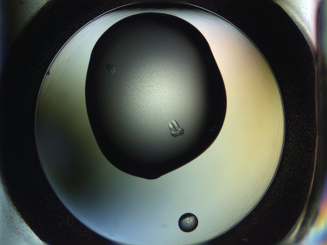 05hf_H1_ImagerDefaults_7.jpg