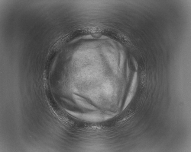 X0000055210594200508301324.png