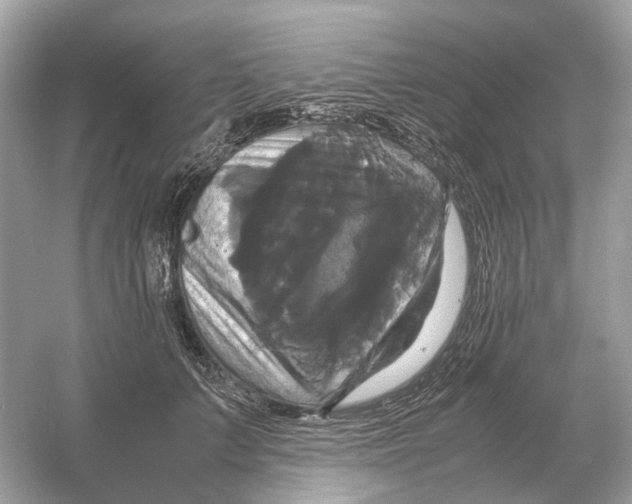 X0000054350703200508190128.png