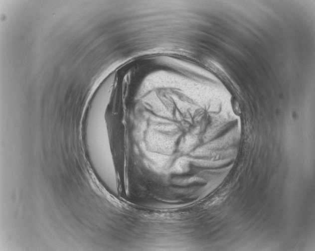 X0000055070900200508232326.png