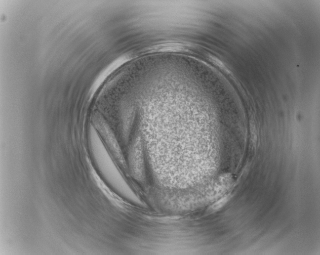 X0000055071426200508232317.png