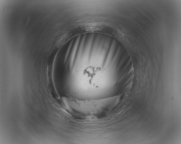 X0000055060219200508161654.png