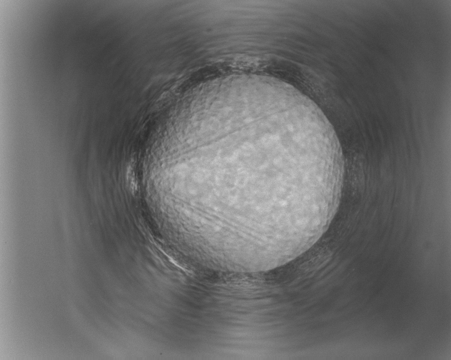 X0000055250962200509071611.png