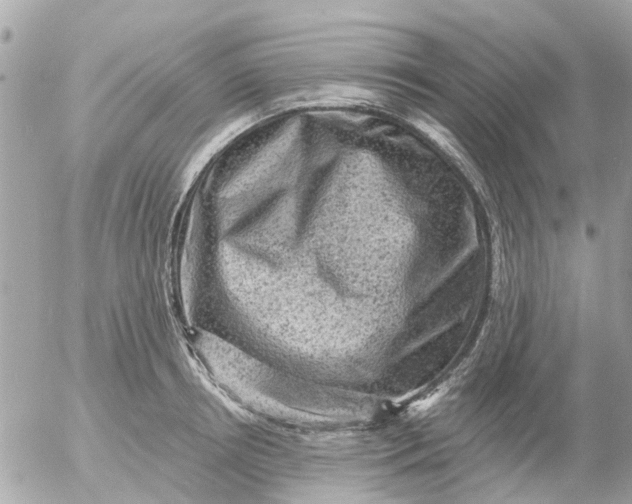 X0000055070850200508232327.png