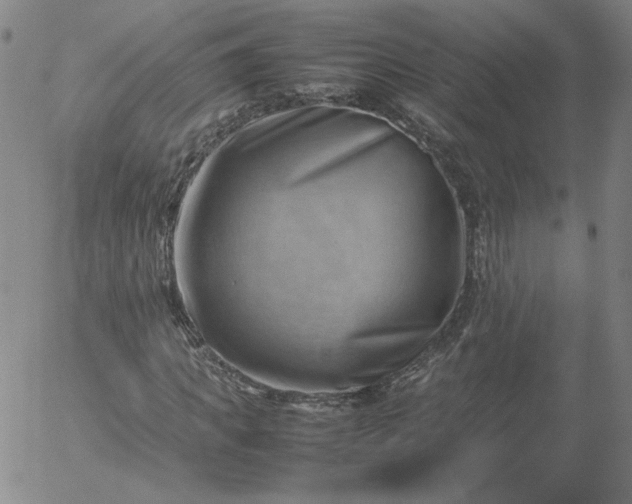X0000054650917200508091637.png