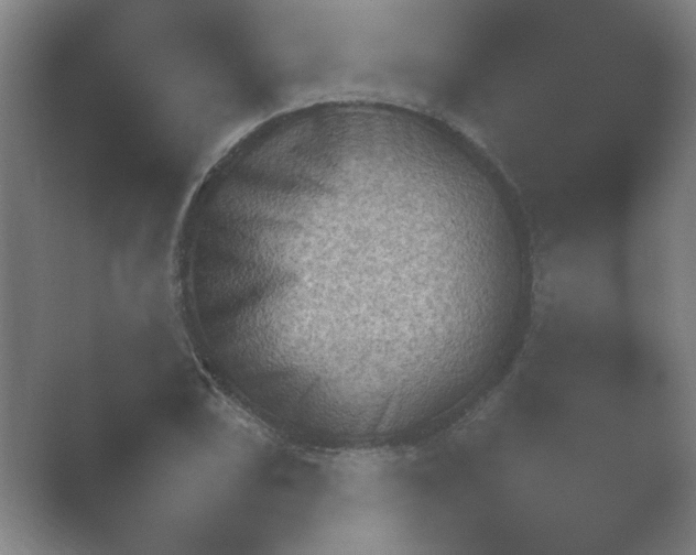 X0000054971074200509051458.png
