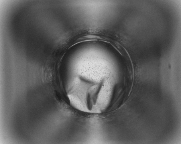 X0000048150074200503231719.png
