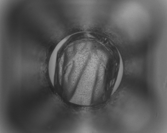 X0000045460077200502081430.png
