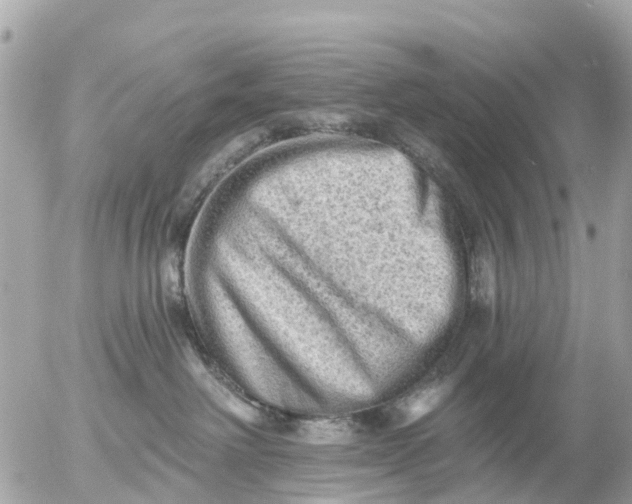 X0000055070238200508232337.png