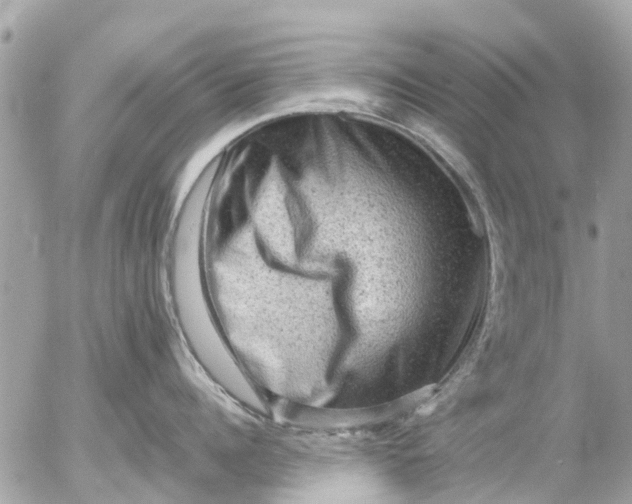 X0000055070960200508232325.png