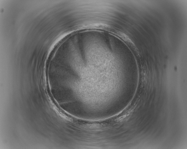 X0000054650792200508091640.png