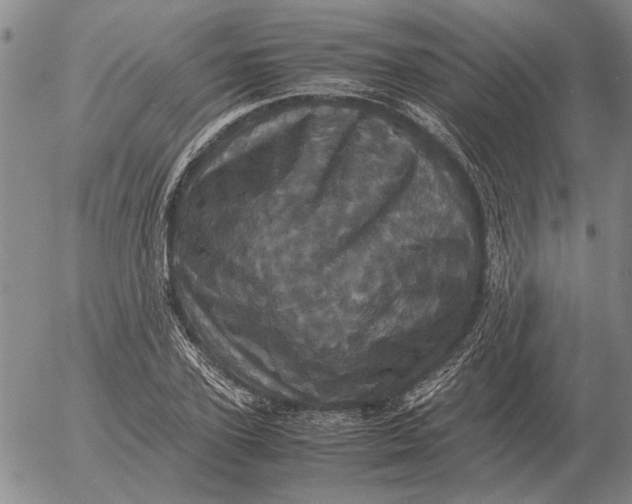 X0000054170931200508101756.png
