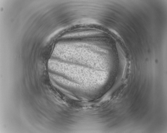 X0000055071112200508232322.png