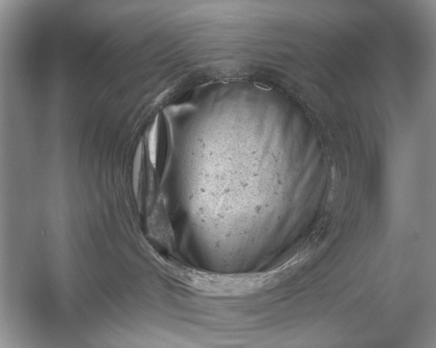 X0000054300048200508042321.png
