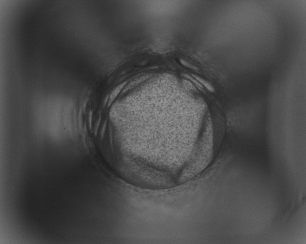X0000044230046200501101649.png