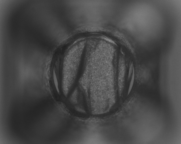 X0000044230063200501101648.png