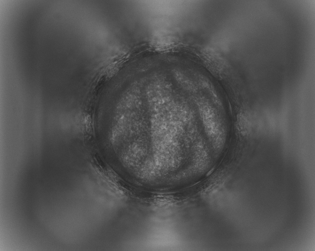 X0000038850653200410131829.png