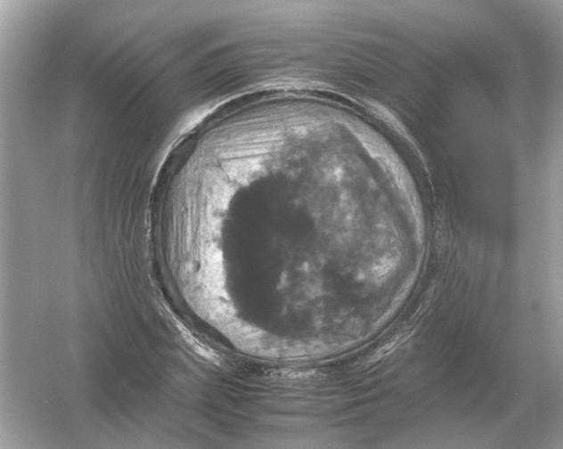 X0000054350831200508190126.png