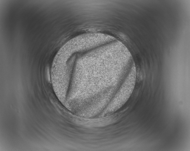 X0000055210046200508301333.png