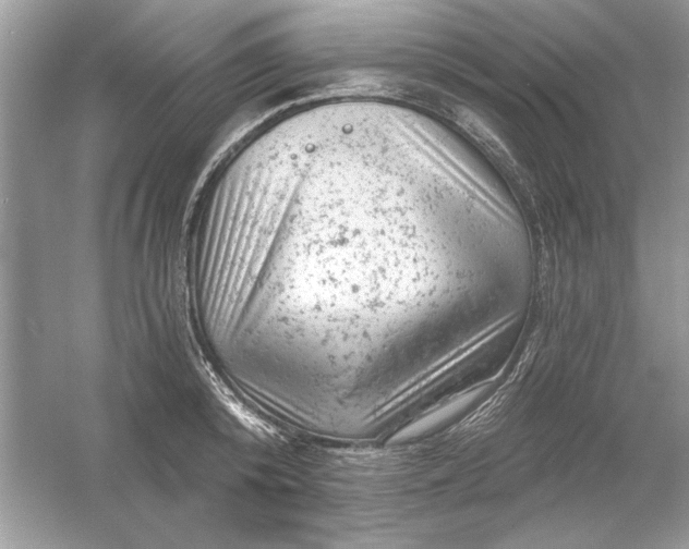 X0000054300800200508042309.png
