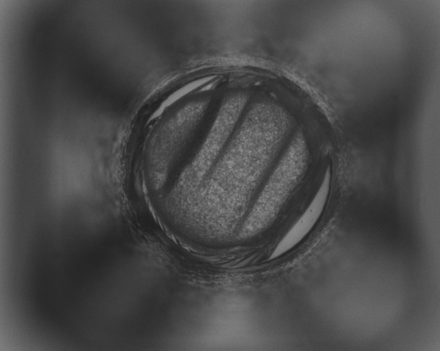 X0000044231163200501101630.png