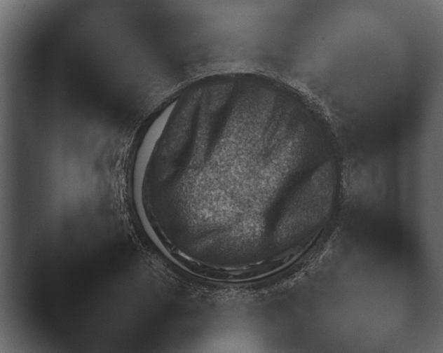 X0000044230929200501101634.png