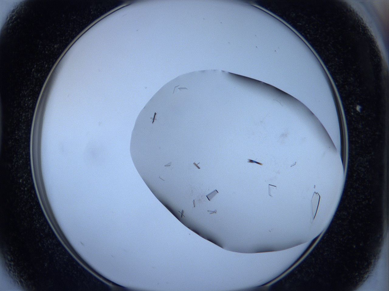 05hh_D5_ImagerDefaults_9.jpg