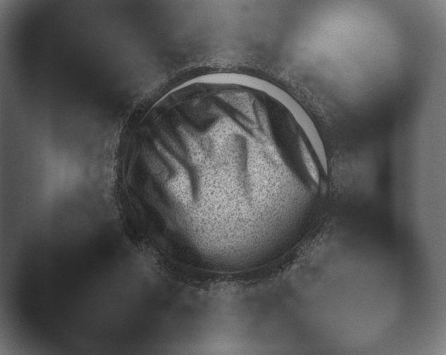 X0000045460208200502081427.png